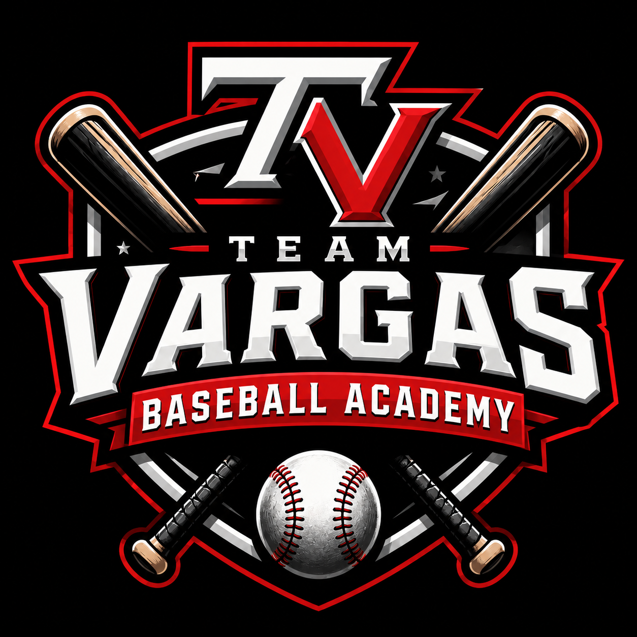 Team Vargas Baseball Academy logo